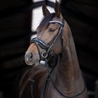 Bridle Hb Showtime Stockholm Black