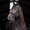 Bridle Hb Showtime Stockholm Black