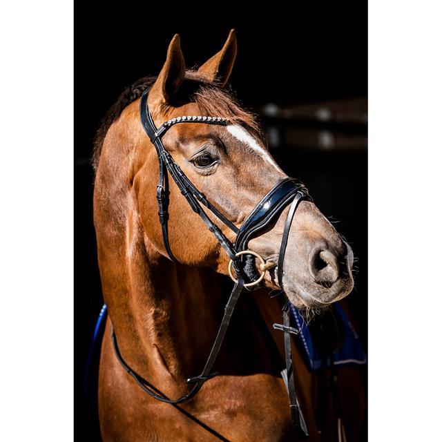 Bridle HB Special Guy Black