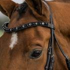 Bridle Horka Flamingo Black
