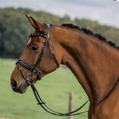 Bridle Horka Flamingo Black