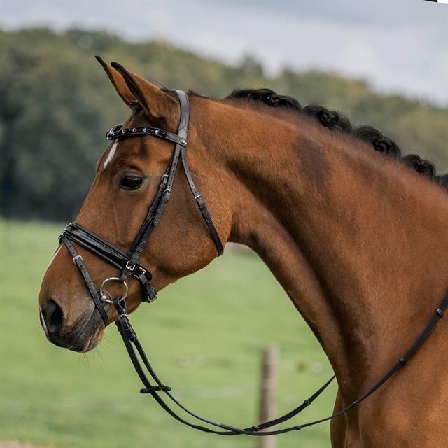 Bridle Horka Flamingo Black