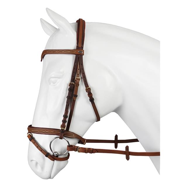 Bridle Horka Verdi Brown-Gold
