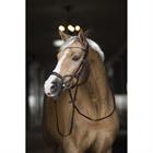 Bridle Horsegear Aquila Deluxe Brown