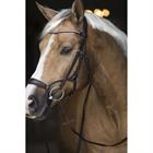 Bridle Horsegear Aquila Deluxe Brown