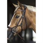 Bridle Horsegear Aquila Deluxe Brown