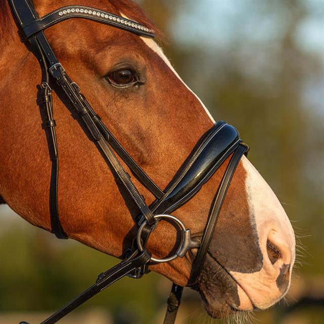 Bridle Horsegear HGGreylin Black