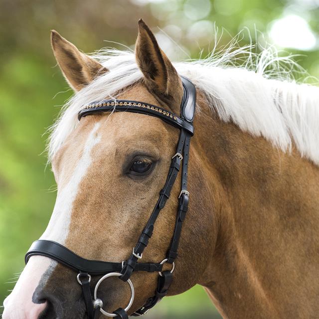 Bridle Horsegear Quasar Black-Silver