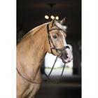 Bridle Horsegear Quasar Brown-Gold