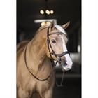 Bridle Horsegear Quasar Brown-Gold