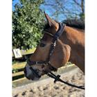 Bridle Horsegear Quasar Brown-Gold