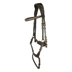 Bridle Horsegear Quasar Brown-Gold