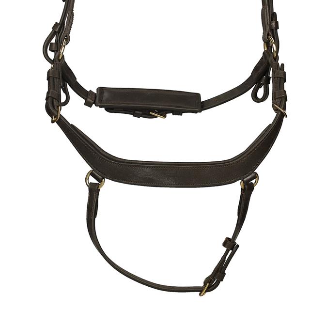 Bridle Horsegear Quasar Brown-Gold