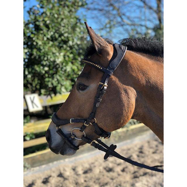 Bridle Horsegear Quasar Brown-Gold