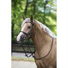 Bridle Horsegear Styx Black