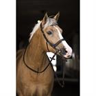 Bridle Horsegear Styx Brown