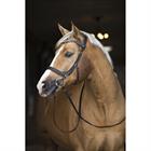 Bridle Horsegear Styx Brown