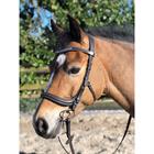 Bridle Horsegear Styx Brown