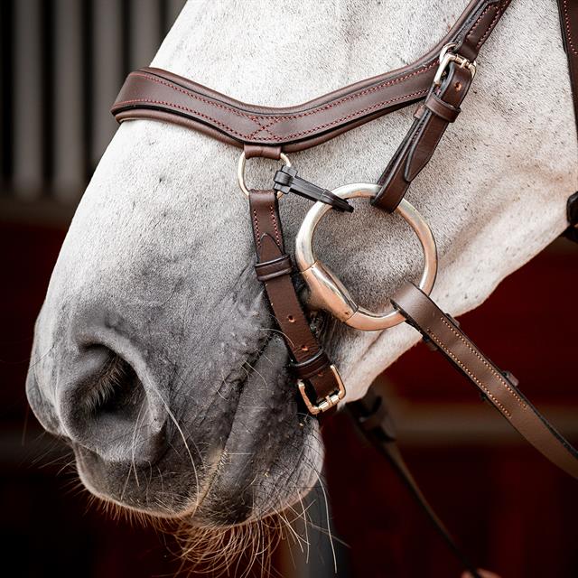 Bridle Horsewear Micklem Competition 2.0 Brown