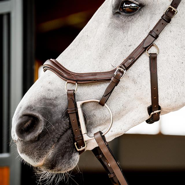 Bridle Horsewear Micklem Deluxe Competition 2.0 Brown