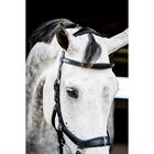 Bridle Horsewear Micklem Multi Bridle 2.0 Black