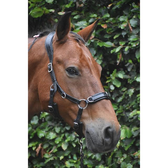 Bridle Human&Horse Heart By Greetje Hakvoort Black