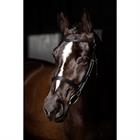 Bridle LeMieux Arika Cavesson Black-Silver