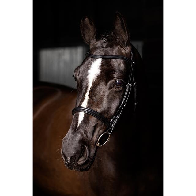 Bridle LeMieux Arika Cavesson Black-Silver
