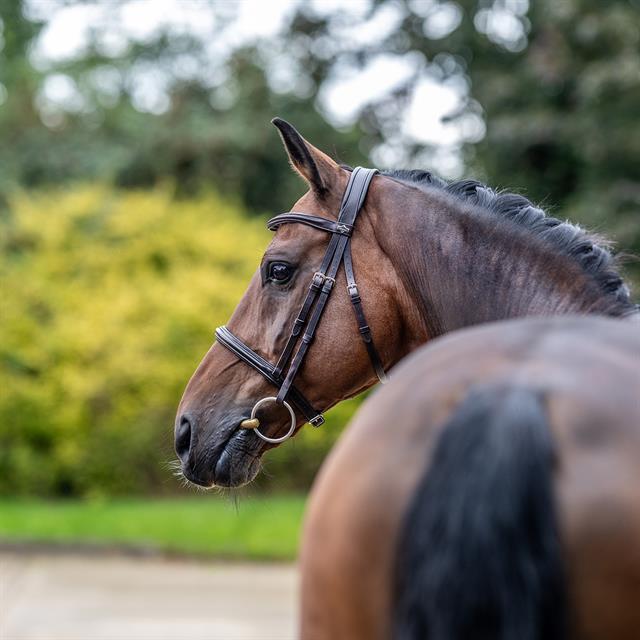 Bridle LeMieux Arika Cavesson Brown-Silver