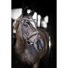 Bridle LeMieux Arika Dressage Black