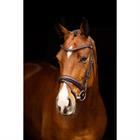 Bridle LeMieux Arika Dressage Brown