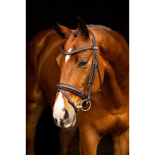 Bridle LeMieux Arika Dressage Brown