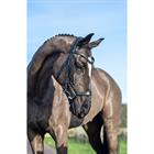 Bridle LeMieux Arika Drop Black