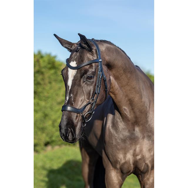 Bridle LeMieux Arika Drop Black