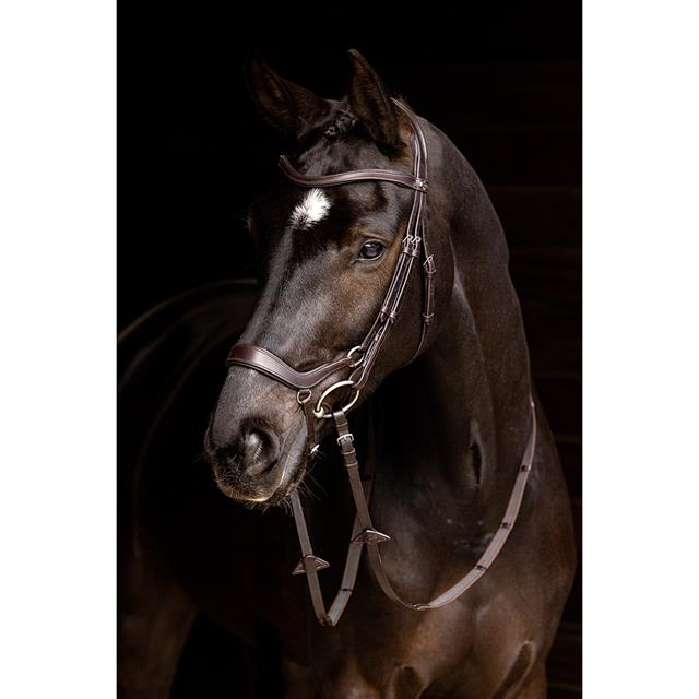 Bridle LeMieux Arika Drop Brown