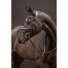 Bridle LeMieux Arika Grackle Black