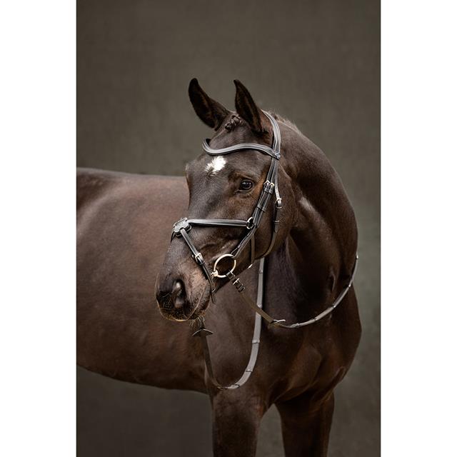 Bridle LeMieux Arika Grackle Black