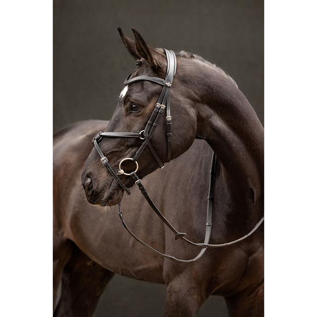 Bridle LeMieux Arika Grackle Black