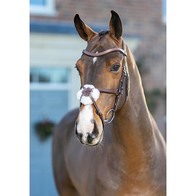 Bridle LeMieux Arika Grackle Mid Brown