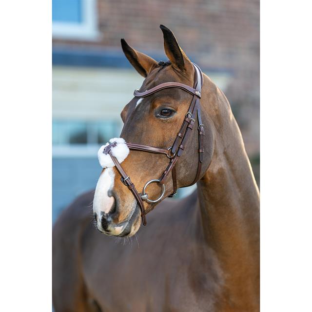 Bridle LeMieux Arika Grackle Mid Brown