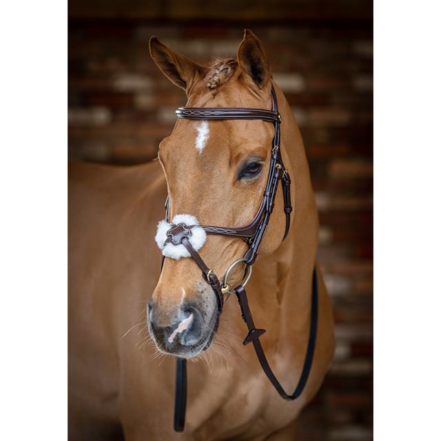 Bridle LeMieux Classic Dressage Brown