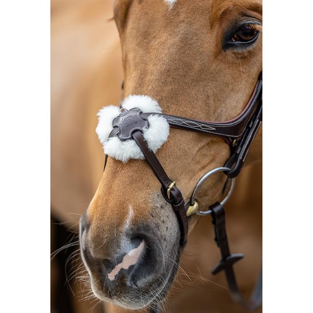 Bridle LeMieux Classic Dressage Brown