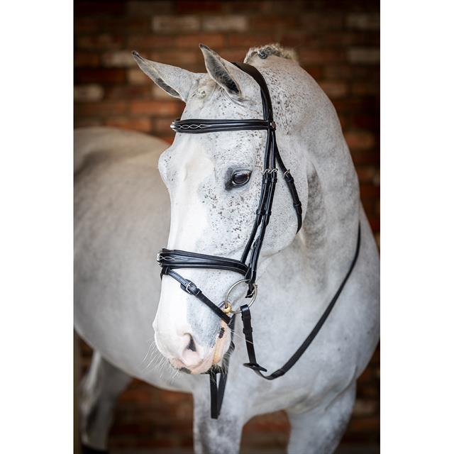 Bridle LeMieux Competition Flash Black