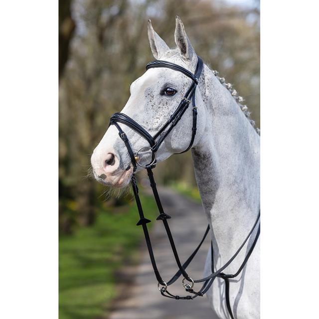 Bridle LeMieux Competition Flash Black