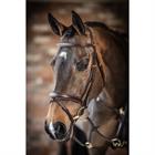 Bridle LeMieux Competition Flash Brown