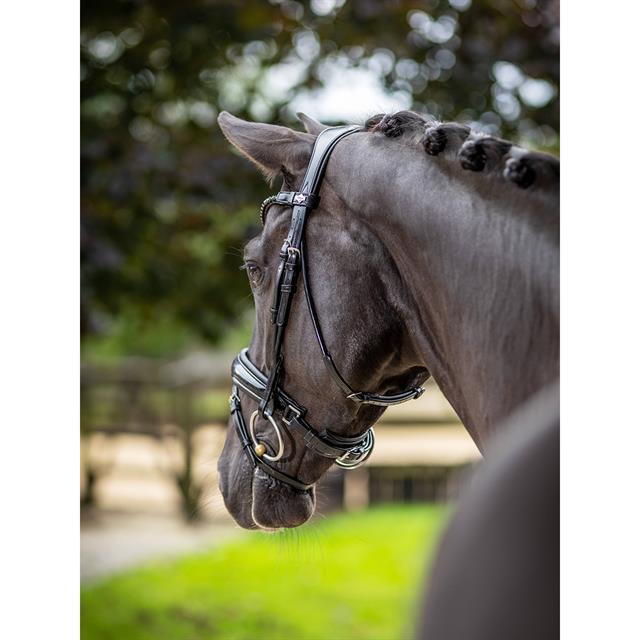 Bridle LeMieux Dressage Kudos Patent Black-Black