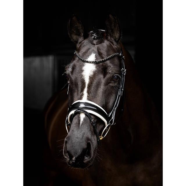 Bridle LeMieux Dressage Kudos Patent Black-White