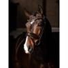 Bridle LeMieux Dressage Kudos Patent Brown-Brown