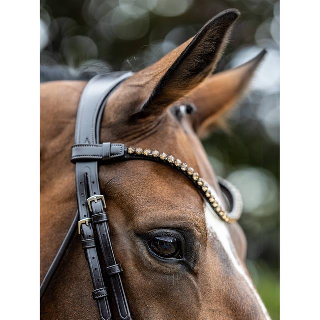 Bridle LeMieux Dressage Kudos Patent Brown-Brown