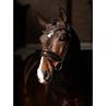 Bridle LeMieux Dressage Kudos Patent Brown-Brown